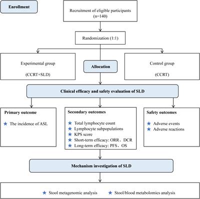 Efficacy of Shenglin decoction in preventing acute severe lymphocytopenia in patients with non-small cell lung cancer undergoing concurrent chemoradiotherapy: a study protocol for a randomized controlled trial